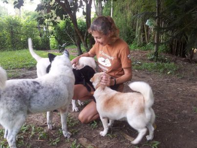 At Chiang Mai Dog Rescue Centre